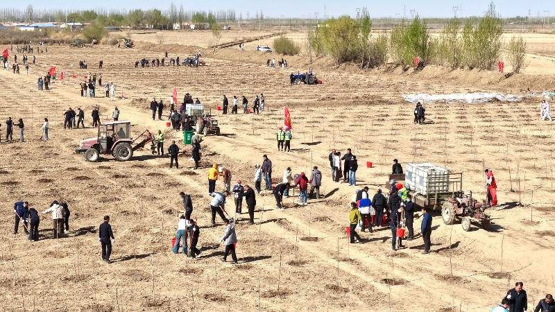 1776230355817385.jpg 1.jpg