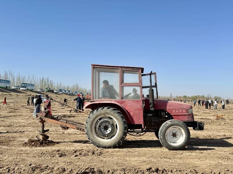 1776230358490141.jpg 2.jpg