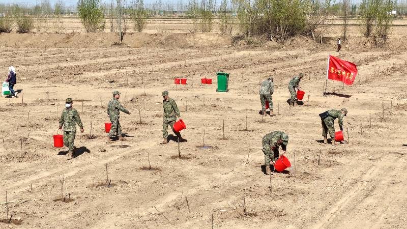 1776230397362015.jpg 3.jpg