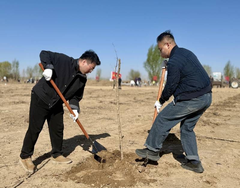 1776230404121161.jpg 4.jpg