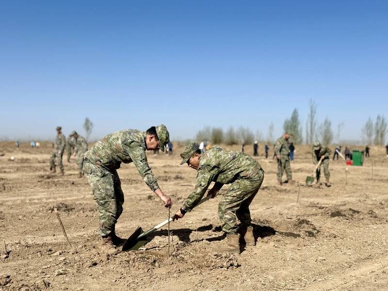 1776230413910238.jpg 6.jpg