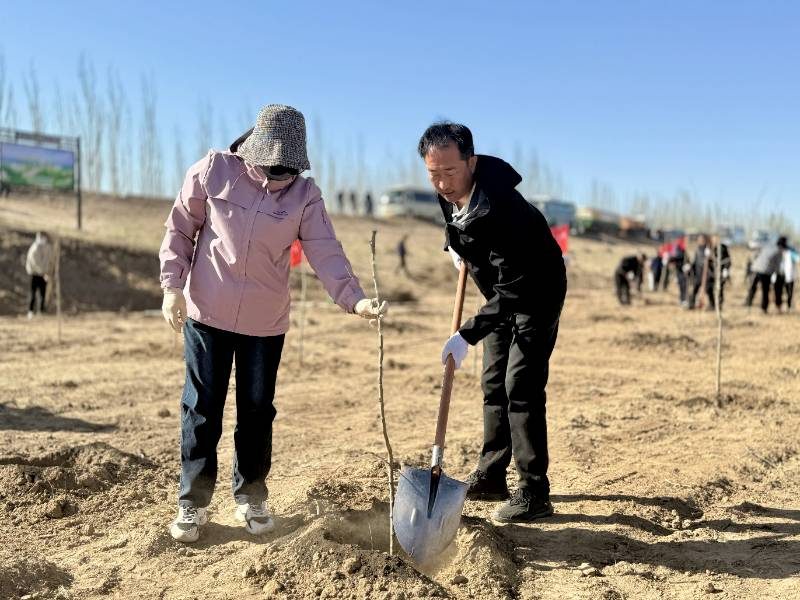 1776230419657266.jpg 7.jpg