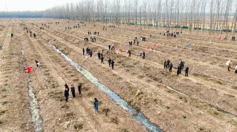 1776310534286300.jpg 25.jpg