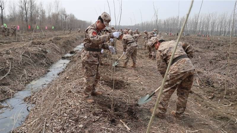 1776310607949811.jpg 24.jpg