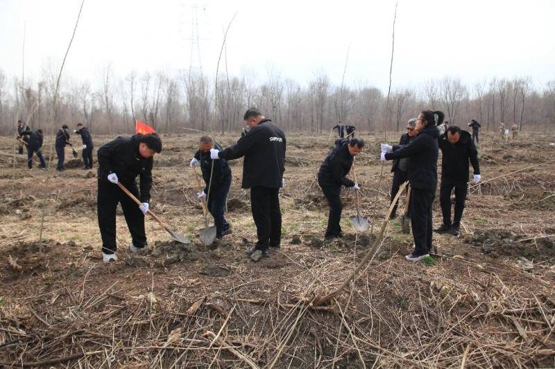 1776310705525850.jpg 22.jpg