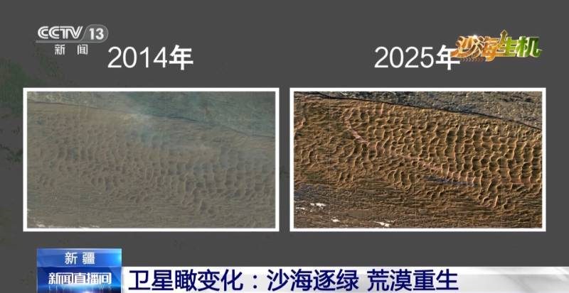1779083389354811.jpg 11.jpg