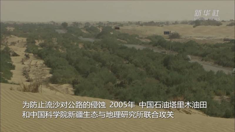 1779085053609691.jpg 2 (1).jpg