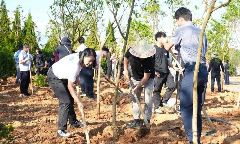 1789874908134993.jpg 8.jpg