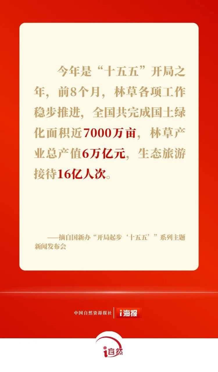 1790147962487286.jpg 16.jpg